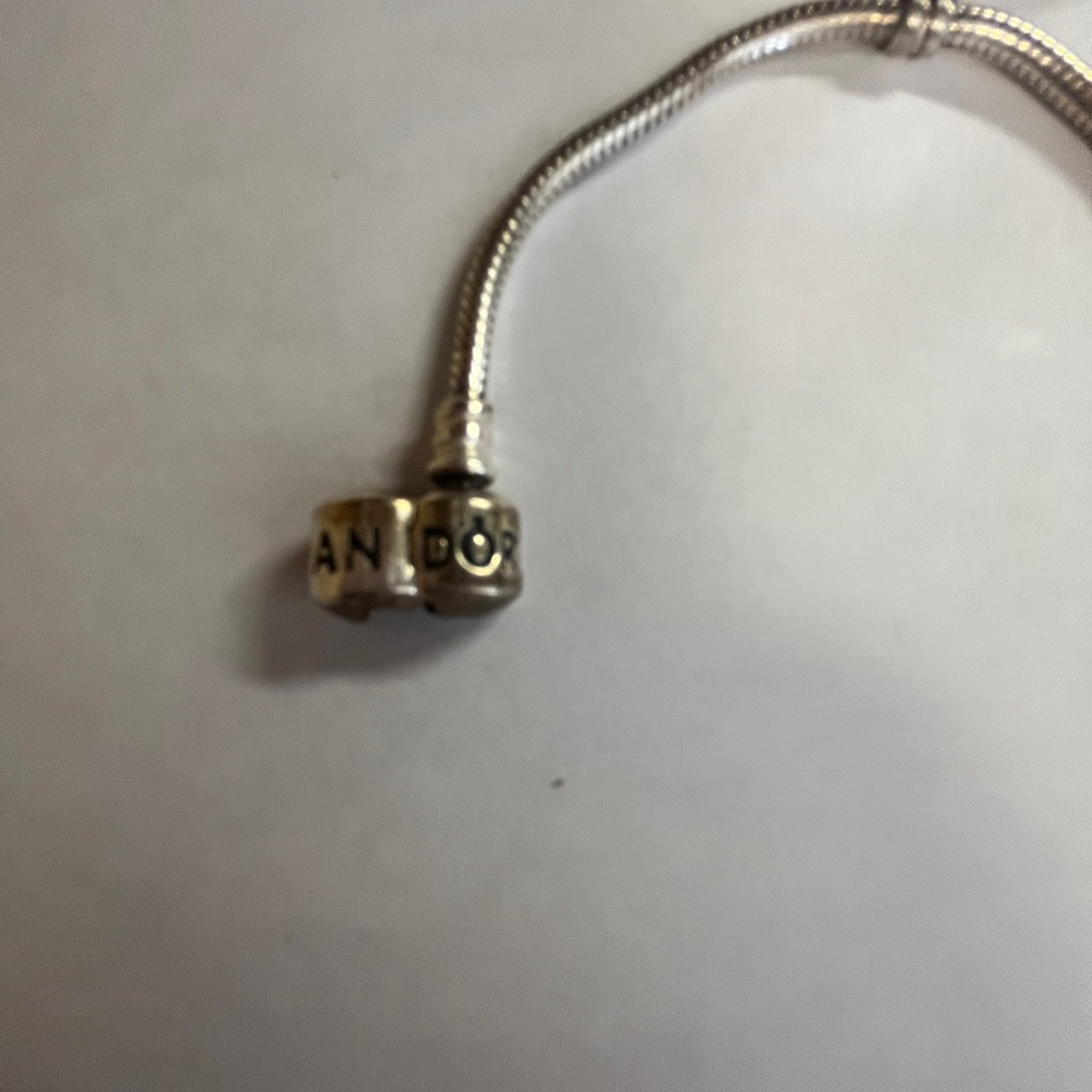 Pandora bracelet